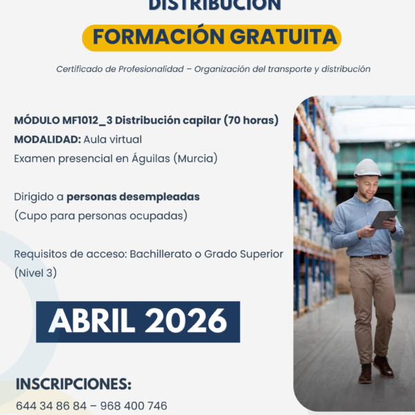 Organización del Transporte y Distribución (110 horas · Aula Virtual · Desempleados)